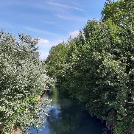 Le Domaine Des Anges Affittacamere Wavrans-sur-l'Aa Esterno foto