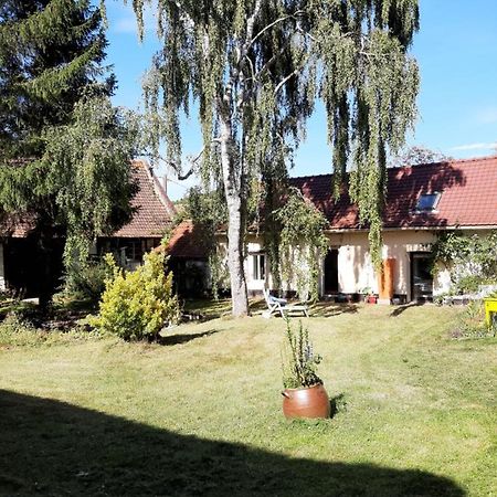 Le Domaine Des Anges Affittacamere Wavrans-sur-l'Aa Esterno foto