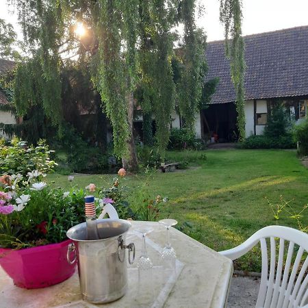 Le Domaine Des Anges Affittacamere Wavrans-sur-l'Aa Esterno foto