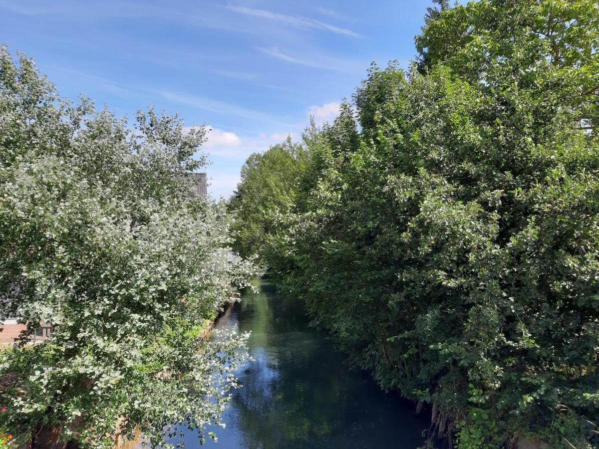 Le Domaine Des Anges Affittacamere Wavrans-sur-l'Aa Esterno foto