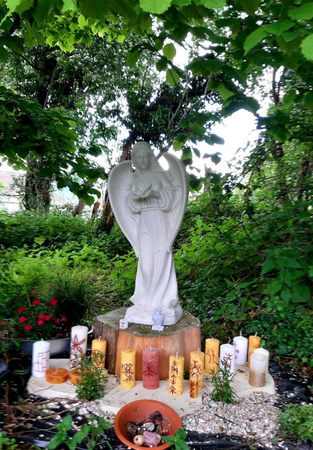 Le Domaine Des Anges Affittacamere Wavrans-sur-l'Aa Esterno foto