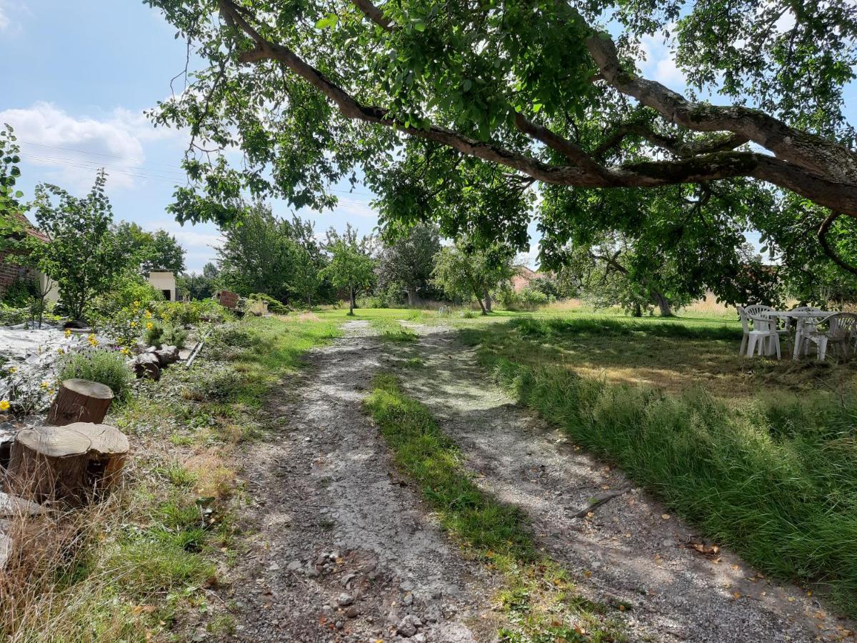 Le Domaine Des Anges Affittacamere Wavrans-sur-l'Aa Esterno foto