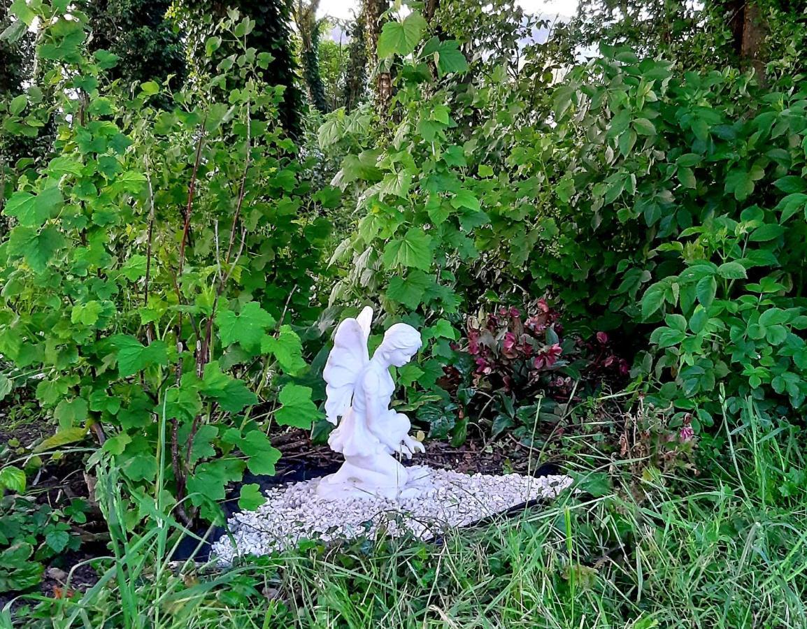 Le Domaine Des Anges Affittacamere Wavrans-sur-l'Aa Esterno foto