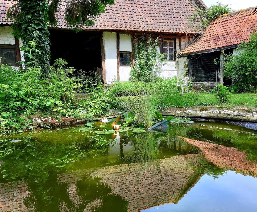 Le Domaine Des Anges Affittacamere Wavrans-sur-l'Aa Esterno foto