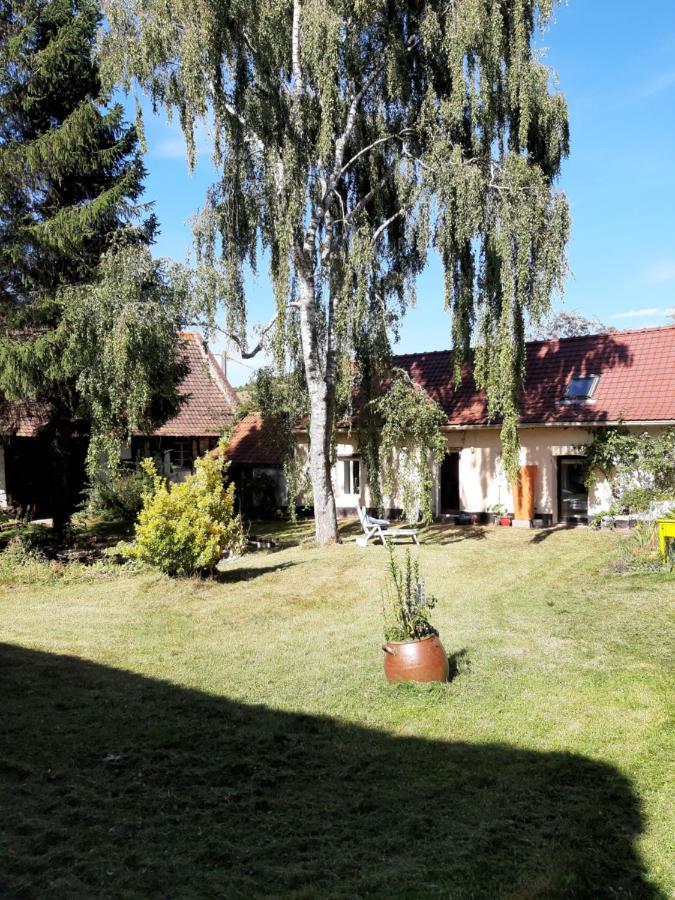Le Domaine Des Anges Affittacamere Wavrans-sur-l'Aa Esterno foto